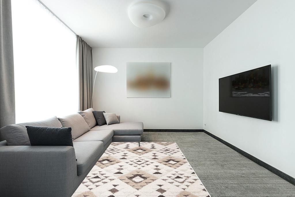 Living Room Ideas Oriental Rug